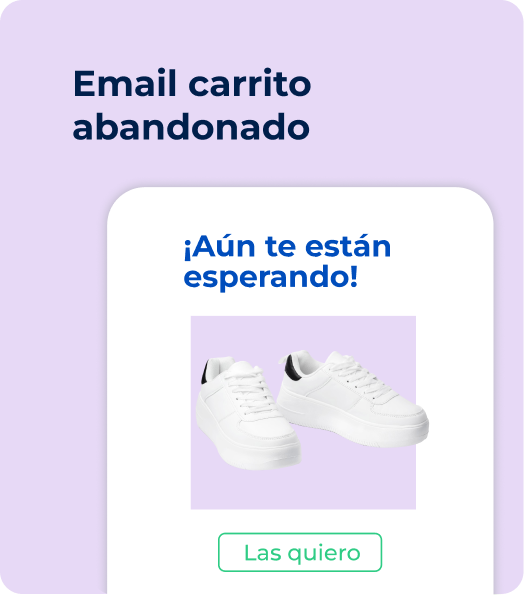 Email carrito abandonado